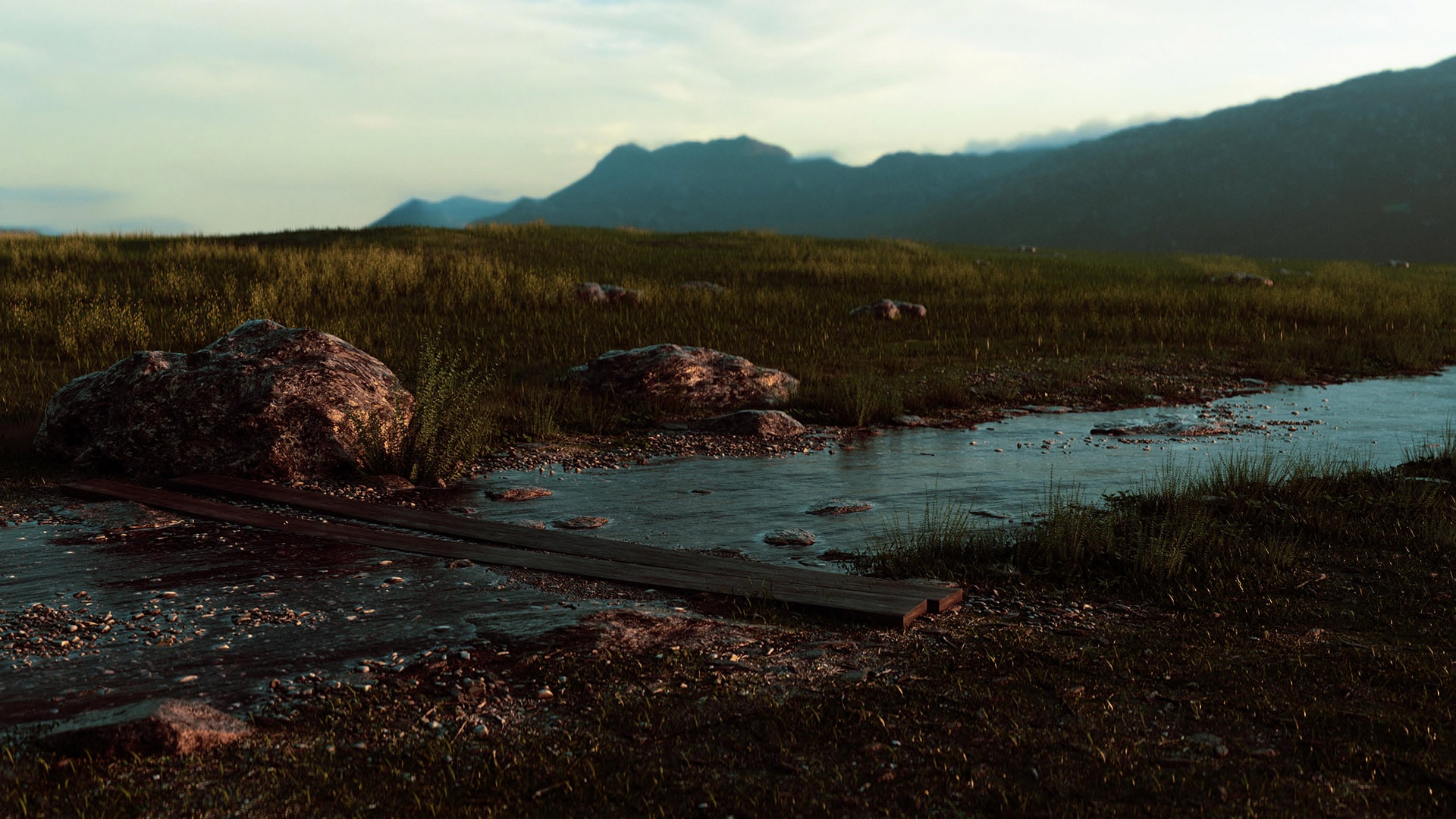 Rural Experiment