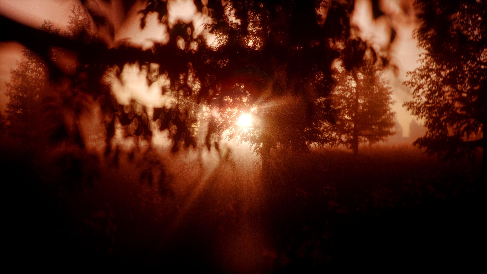Sunset Scene